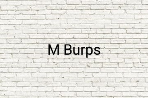 Header of mburps
